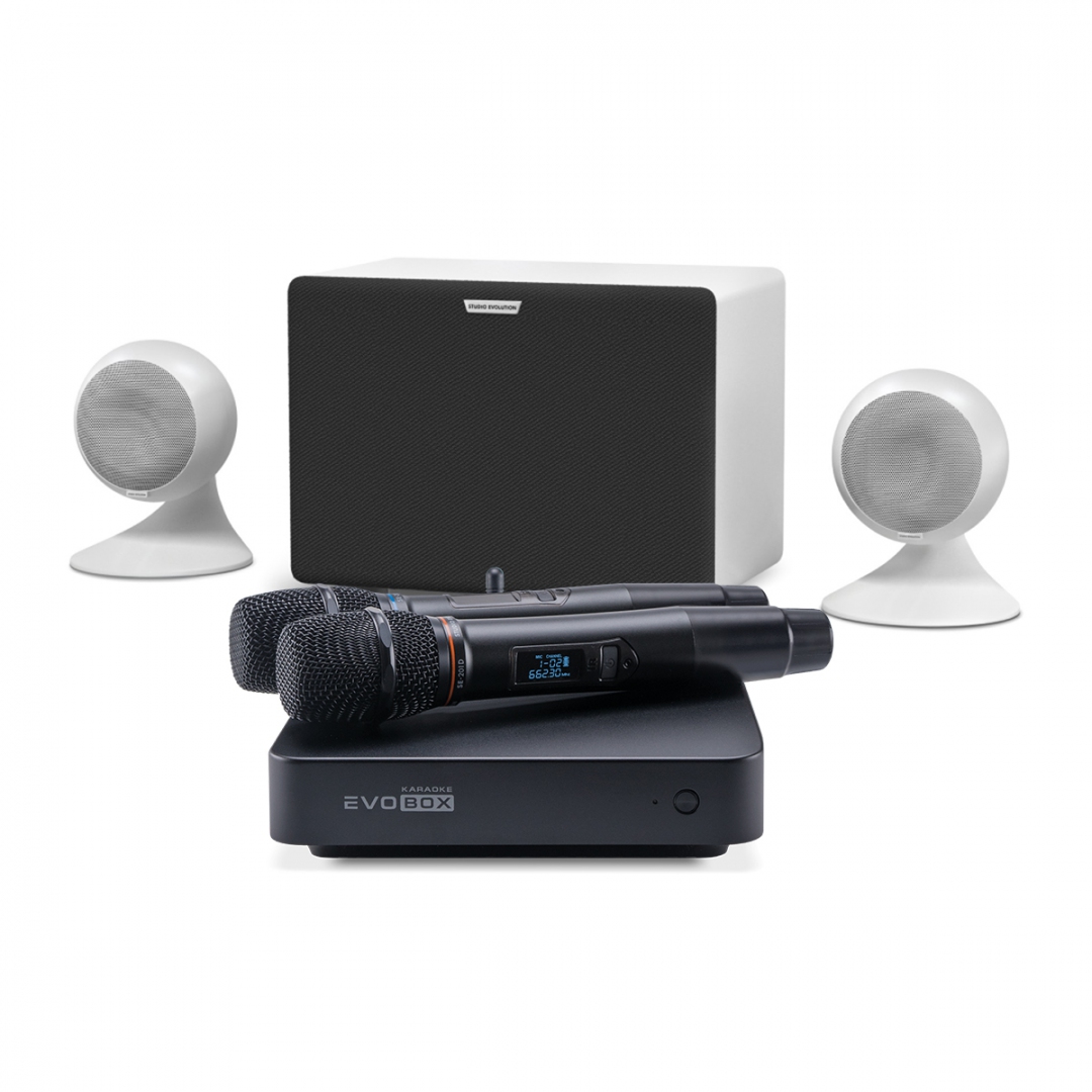 караоке-комплект EVOBOX Classic + EvoSound Sphere 2.1 в Азове