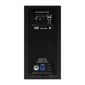 Активная акустическая система AST-310A в Азове