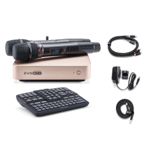 EVOBOX Classic караоке-система для дома в Азове